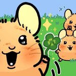 편식 ㅈㄴ 심한애 개개개<b>시름</b>