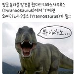 ㅂㅎ이 관련 글.