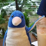 저희 <b>애착</b> 인형(펭귄 인형)을 찾아주세요.
