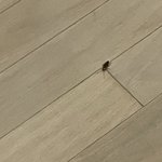 야 <b>설마</b> 이거 바선생이야?