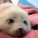 [댓글부탁해] 가슴이 너무 답답할때는 어떡해? 도와줘