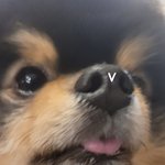 [군대] 김<b>연탄</b>