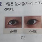 과학공부하다가 뉴진스<b>민지</b>인줄