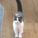 [드루와] 인스타 지운다고 스토리올리는거 좀그런가