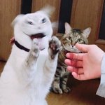 [드루와] 전문대 다녔던 후기