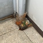 [댓글부탁해] 복도식아파트 내집앞 <b>음식물쓰레기</b> 불법투기당함ㅋㅋㅋ