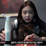 블핑 제니 봐도 사람 사는 거 다 똑같네 ㅋㅋㅋㅋ