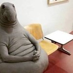 <b>북방</b>코끼리바다표범