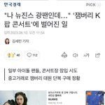 버니즈 기사 났네 하이고