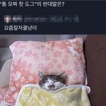 와 나 아이돌되는 꿈꿧늠