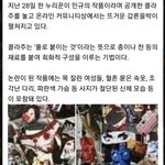 민규품는 <b>캐럿</b>들 대단하다