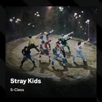 [스키즈] 오늘도 잊지말고 투표하자!!