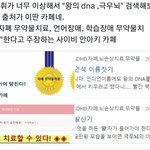 왕의 <b>DNA</b> 알고보니 왕아키였음 ㄷㄷ