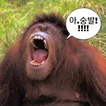 감정이 태도가 되지않게하