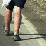 <b>잼버리</b> K팝 참여가수들 불쌍함