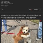 뭔가 이런 글 보기만 해도 기분 좋음