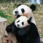 [19] 친구관계 개 <b>현타</b> 옴