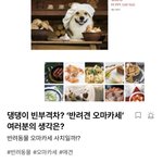 [댓글부탁해] 강아지 오마카세 가봄???