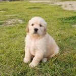 [<b>TXT</b>] 툽깅이들의 잘못된 자기객관화