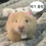 옹 오늘 <b>김민재</b>랑 이강인 경기 있네