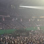 르세라핌 <b>실체</b> 텅텅콘