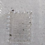 이거 김인지, 벌렌지 <b>판독</b> 좀 해주라