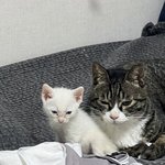 [댓글부탁해] 얘드라 나 수능 끝나고… 한달정도 <b>외국</b>가고싶은데
