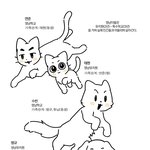 [TXT] 완벽히 <b>성향</b>이 나뉘는 멍멍즈 냥냥즈