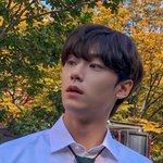방금 <b>조각</b>이랑 눈마주쳤어