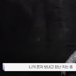 엔하이픈 니키 누가봐도 막내임ㅠㅠㅋㅋㅋ