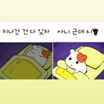 그냥 얘를 빠는 내가 뒤죠야겠다 생각 들다가도