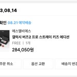 [스키즈] SLBS <b>버즈</b>