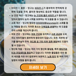 [망고] 망고 <b>효능</b>: 인기있는 5가지 이유