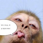 이게 <b>뭔</b> <b>맛</b>임?