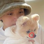 [NCT칠프] 재민이 냥이 품에 안겨서 떨어지질않던데 뭔 <b>학대</b>야