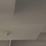 <b>유승언</b> 비율 봐
