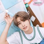 네시픽 스트레이키즈