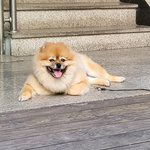 [이것좀봐줘] 왕의 <b>DNA</b>를 가진 아이!!