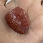 [댓글부탁해] 나 베라 1등 <b>당첨</b>됨 ;;