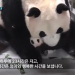 [드루와] <b>인</b><b>팁</b>남자 장단점ㅋㅋ