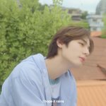보<b>넥</b>도 컨셉 잘잡았다