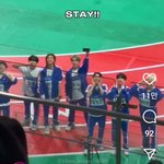 [스키즈] 스테이!! ㅇㅇ ㅇㅇㅇ!