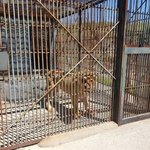 [이것좀봐줘] 20년동안 감금 죽기전 한시간 외출