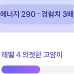 너네 <b>토스</b> 고양이 몇랩임