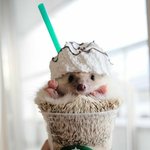 가을엔 카페<b>라떼</b>