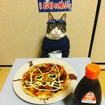 고양이 <b>셰프</b> 어때?