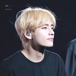 사랑스런 금발 <b>대형</b> <b>댕댕이</b>들