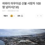 연예인 김성은 하와이 터질게 터졌네요