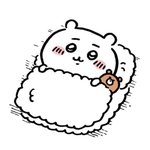 [댓글부탁해] 외국 연예인 덕질하는 사람 있니...