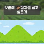 남편없이 <b>감자</b>심는 법  ㅋㅋㅋ